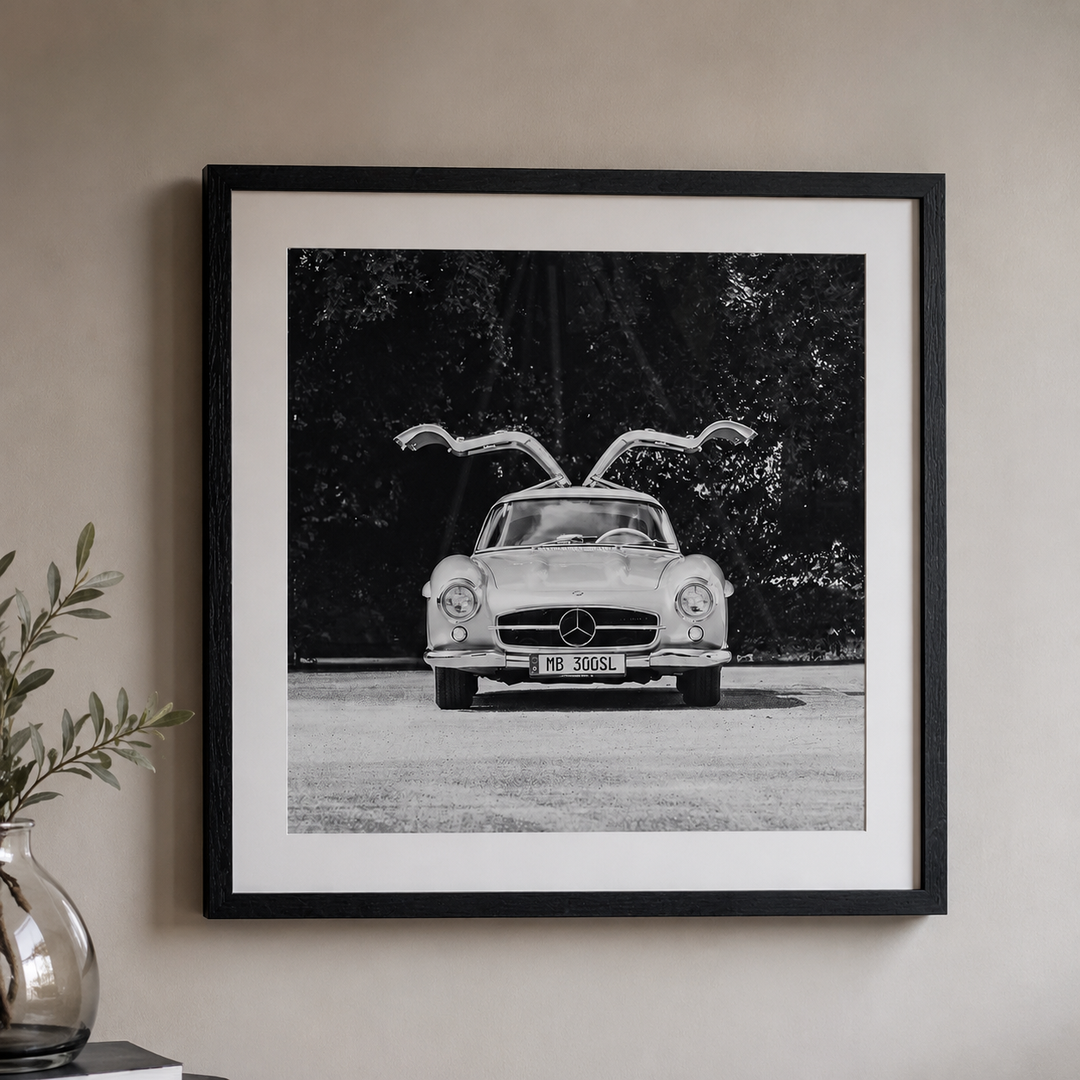 Mercedes Gullwing Picture